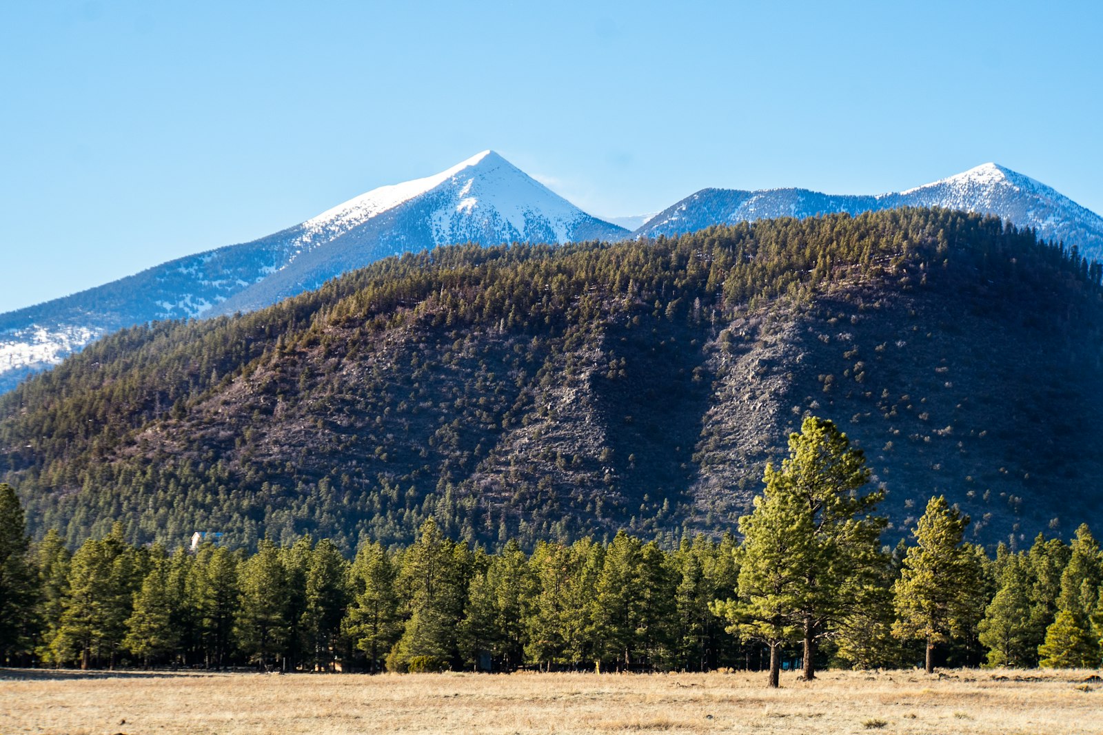 Flagstaff