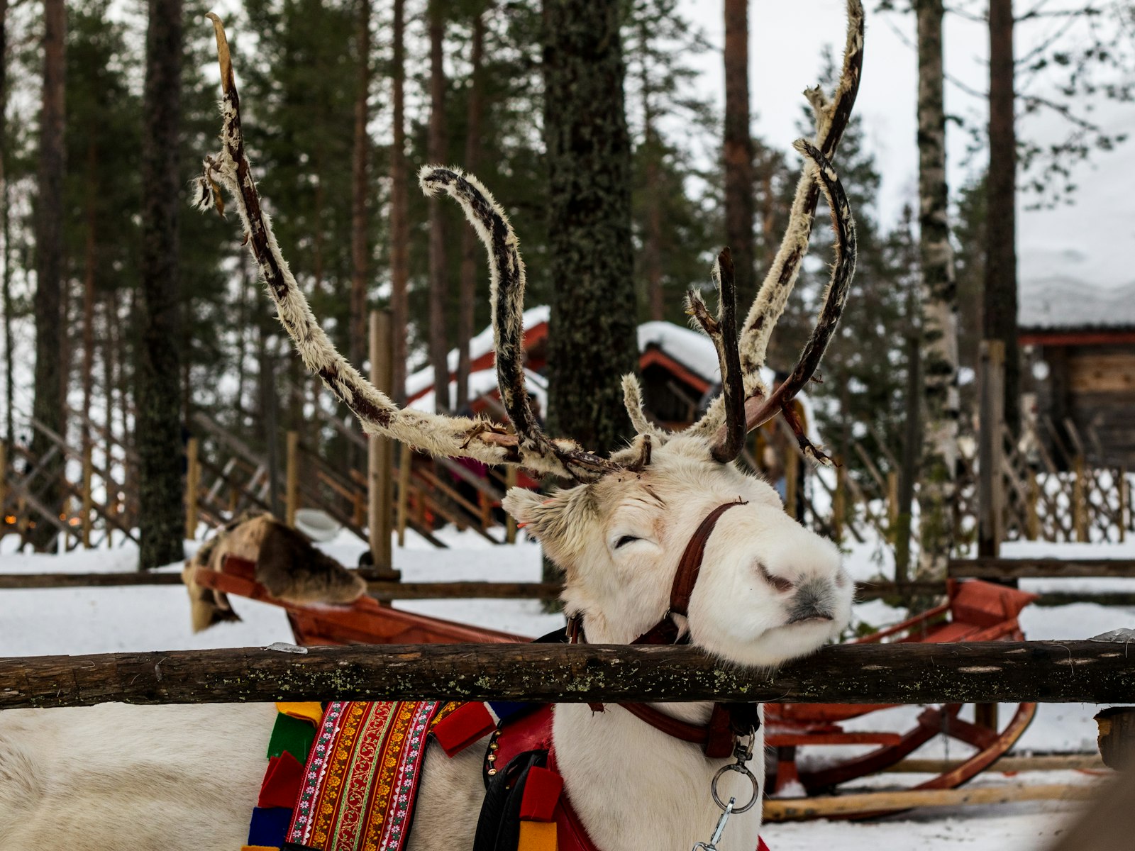Rovaniemi